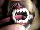 Dscn8816_submenu